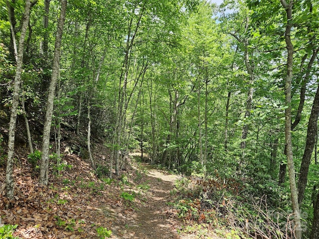 00 Laurel Ridge Rd, Maggie Valley, NC 28751