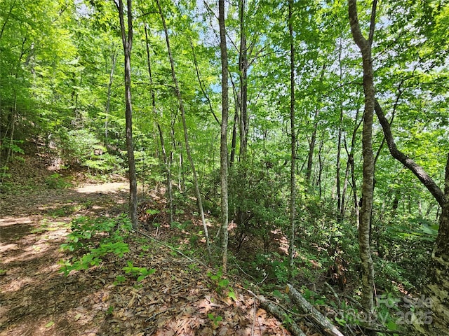 00 Laurel Ridge Rd, Maggie Valley, NC 28751