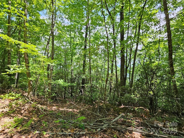00 Laurel Ridge Rd, Maggie Valley, NC 28751