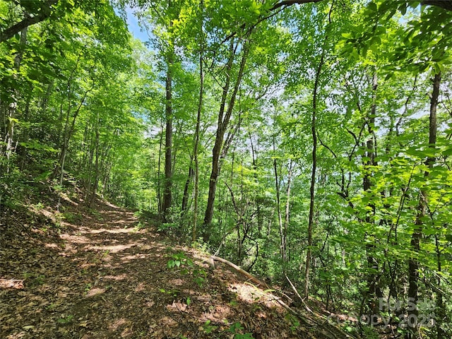 00 Laurel Ridge Rd, Maggie Valley, NC 28751