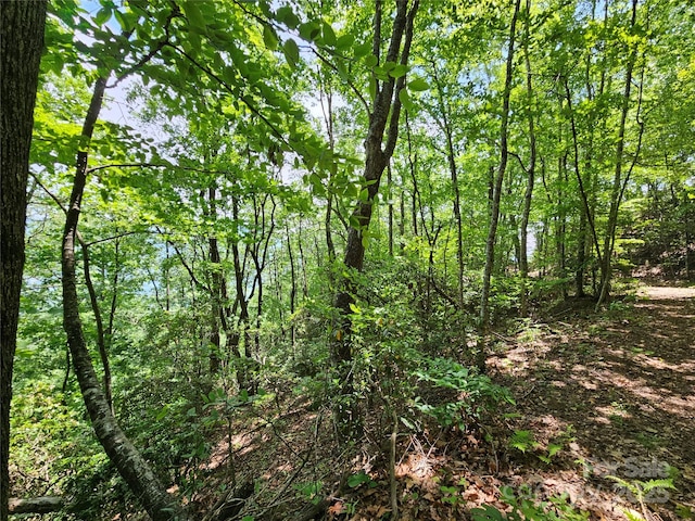 00 Laurel Ridge Rd, Maggie Valley, NC 28751