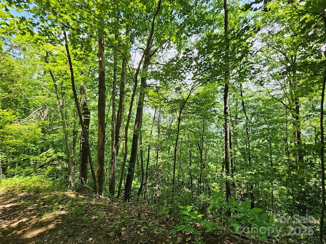 00 Laurel Ridge Rd, Maggie Valley, NC 28751