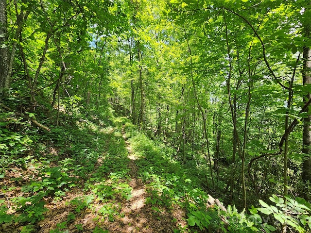 00 Laurel Ridge Rd, Maggie Valley, NC 28751