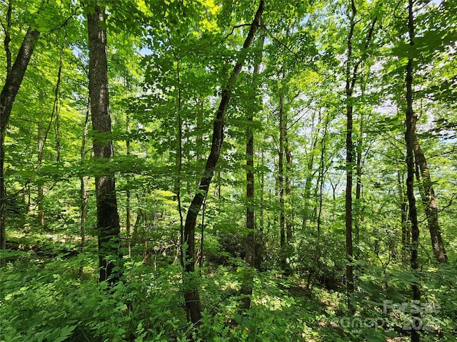 00 Laurel Ridge Rd, Maggie Valley, NC 28751