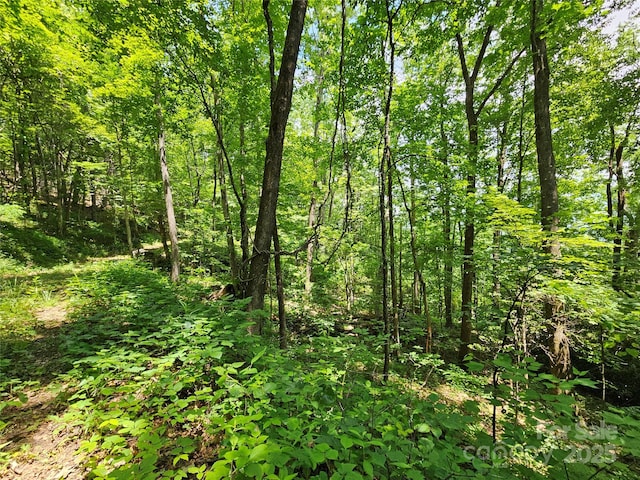 00 Laurel Ridge Rd, Maggie Valley, NC 28751