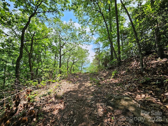 00 Laurel Ridge Rd, Maggie Valley, NC 28751