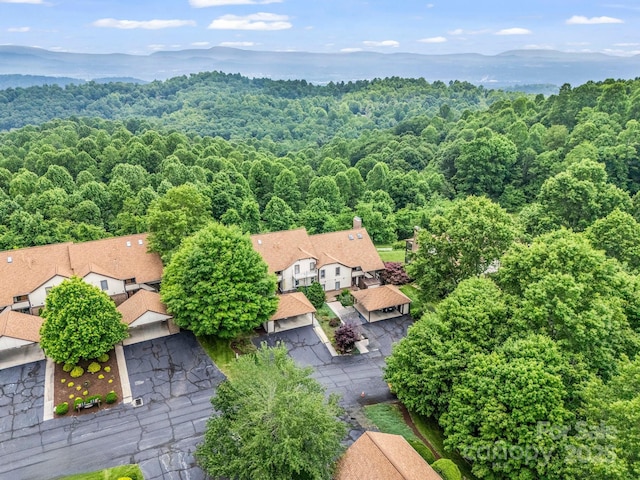 204 Fleetwood Plz, Hendersonville, NC 28739 - photo 3