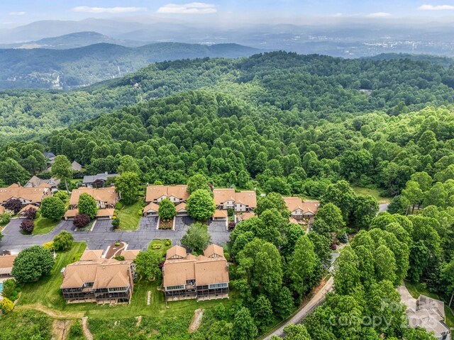 204 Fleetwood Plz, Hendersonville, NC 28739 - photo 24