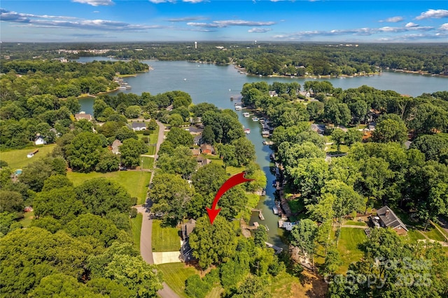 315 Wood Duck Loop, Mooresville, NC 28117 - drone / aerial view of a large body of water and a heavily wooded area