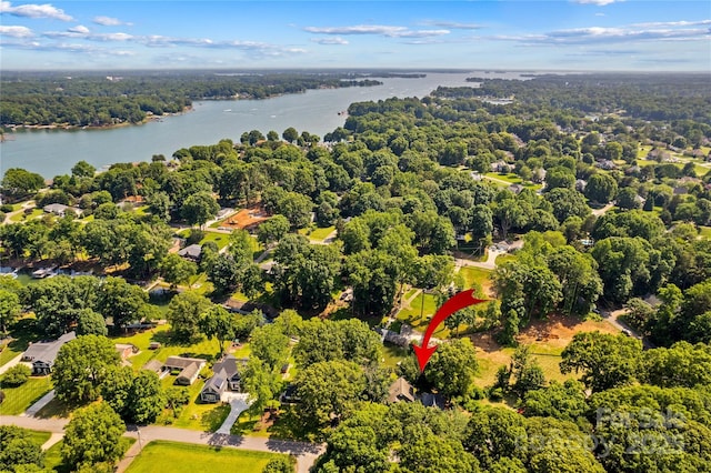 315 Wood Duck Loop, Mooresville, NC 28117 - aerial view of a nearby body of water and a forest