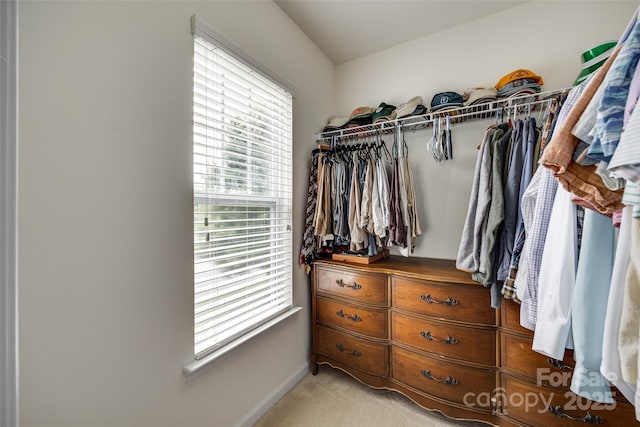 288 Sand Paver Way Unit 50, Fort Mill, SC 29708 - walk in closet with light colored carpet