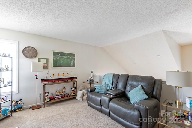 1013 Nez Perce Ln, Monroe, NC 28110 - photo 21