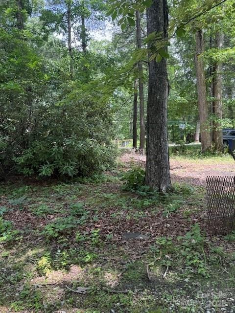 99999 Laurel Ln Unit 2, Black Mountain, NC 28711