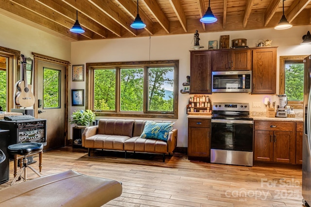 43 Dillingham Estates Trl, Swannanoa, NC 28778 - kitchen featuring appliances with stainless steel finishes, plenty of natural light, light countertops, light wood finished floors, and wooden ceiling with exposed beams