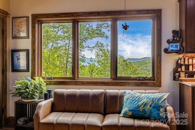 43 Dillingham Estates Trl, Swannanoa, NC 28778 - view of living area
