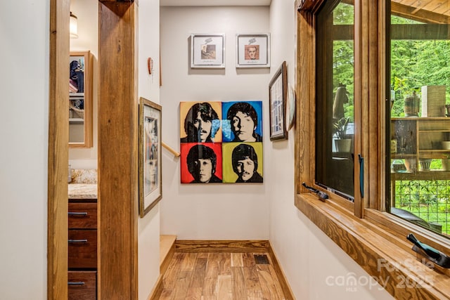 43 Dillingham Estates Trl, Swannanoa, NC 28778 - hallway with plenty of natural light, baseboards, and wood finished floors