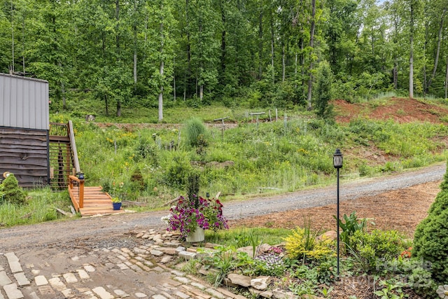 43 Dillingham Estates Trl, Swannanoa, NC 28778 - view of yard with stairway and a forest view