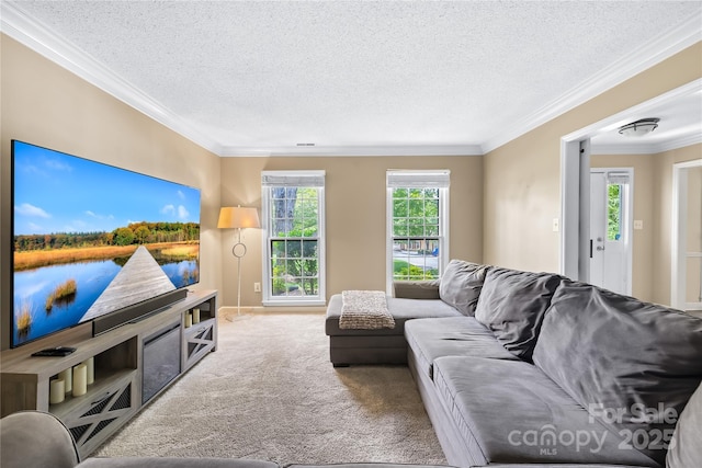 7528 Red Oak Ln, Charlotte, NC 28226 - living area featuring carpet flooring, ornamental molding, and a textured ceiling