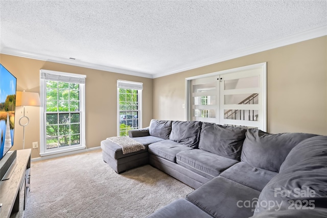 7528 Red Oak Ln, Charlotte, NC 28226 - carpeted living room featuring ornamental molding and a textured ceiling