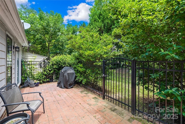 7528 Red Oak Ln, Charlotte, NC 28226 - view of patio / terrace featuring a gate and grilling area