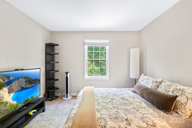 7528 Red Oak Ln, Charlotte, NC 28226 - bedroom featuring carpet floors