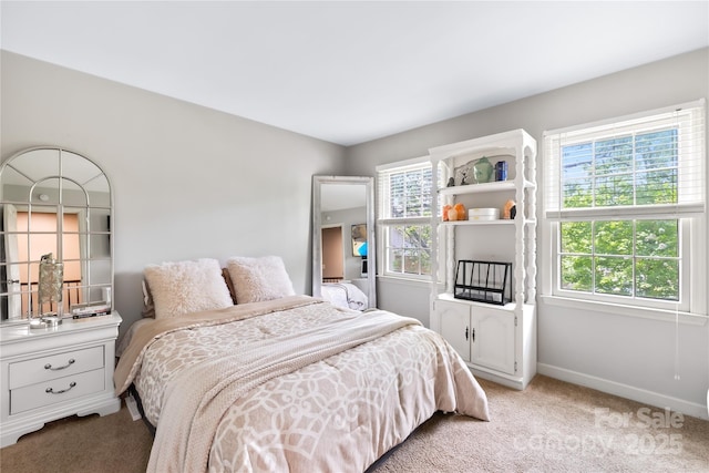 7528 Red Oak Ln, Charlotte, NC 28226 - bedroom featuring light colored carpet and baseboards