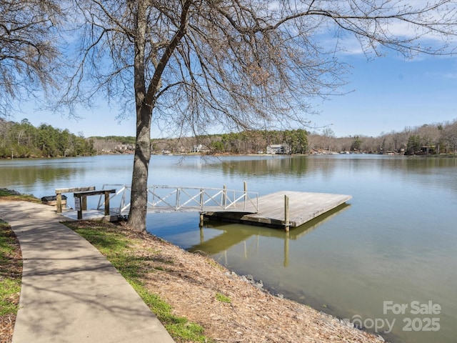 714 Deerbrook Ln, Tega Cay, SC 29708 - dock with a water view