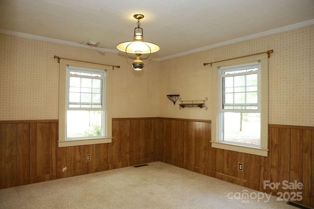 1270 N Enochville Ave, China Grove, NC 28023 - carpeted empty room featuring ornamental molding, a wainscoted wall, wood walls, and healthy amount of natural light