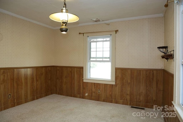 1270 N Enochville Ave, China Grove, NC 28023 - spare room with crown molding, wainscoting, and wood walls