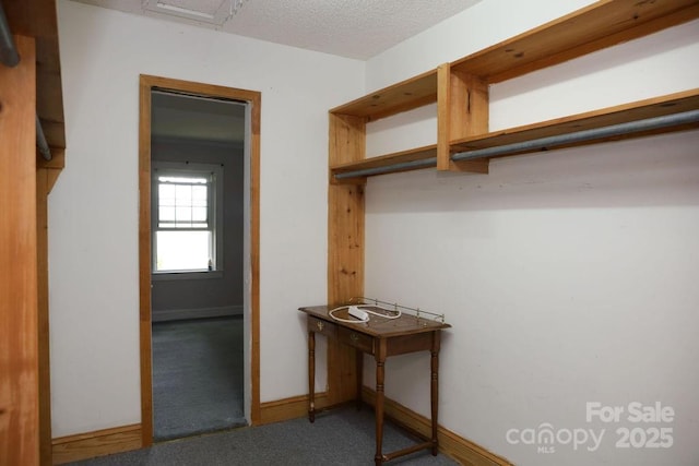 1270 N Enochville Ave, China Grove, NC 28023 - spacious closet featuring carpet