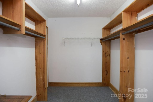 1270 N Enochville Ave, China Grove, NC 28023 - walk in closet featuring carpet flooring