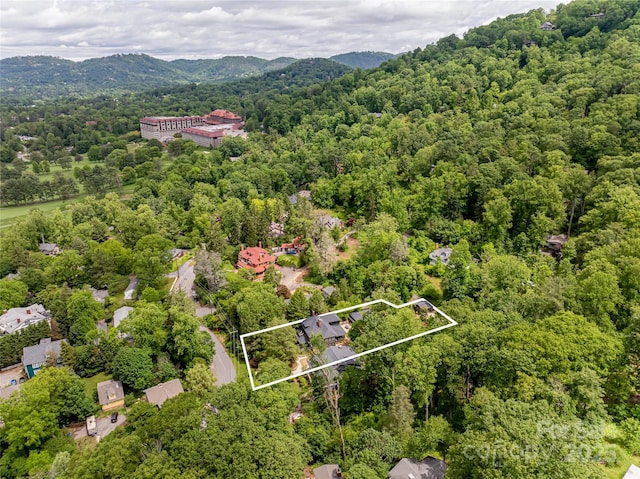 165 Macon Ave, Asheville, NC 28801 - photo 47