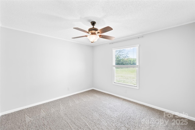 3909 Beda Rd, Maiden, NC 28650 - photo 17