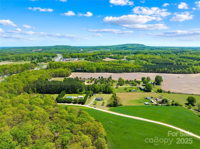 3909 Beda Rd, Maiden, NC 28650 - photo 27