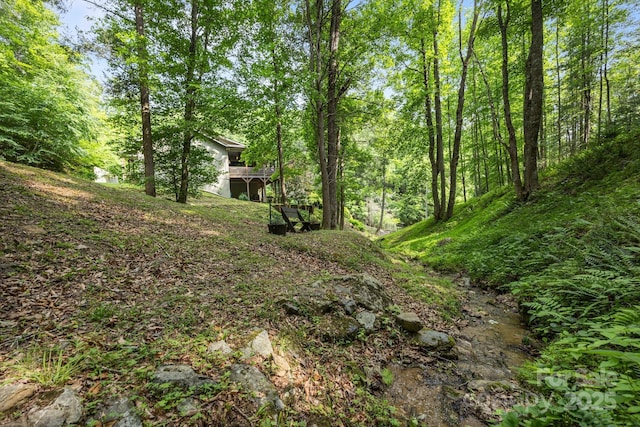 305 Pound Mill Branch Rd, Green Mountain, NC 28740 - view of yard