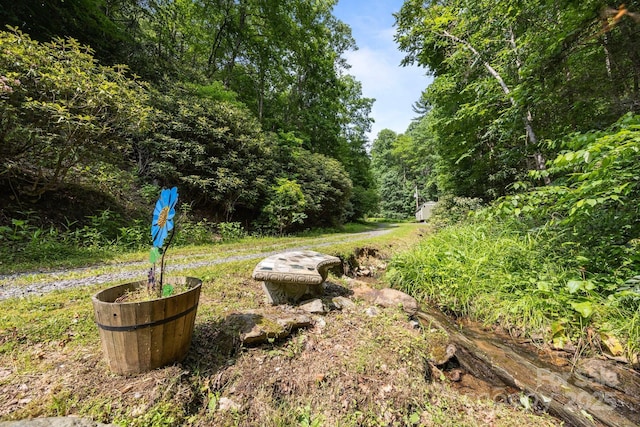 305 Pound Mill Branch Rd, Green Mountain, NC 28740 - view of yard