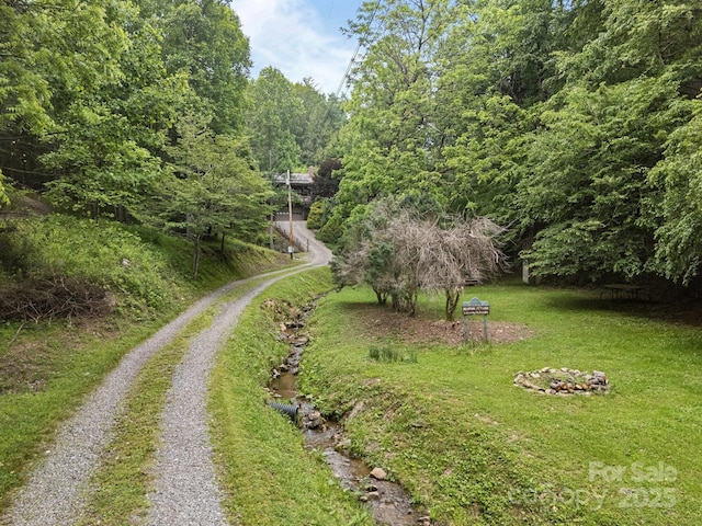 305 Pound Mill Branch Rd, Green Mountain, NC 28740 - view of grassy yard featuring driveway and a forest view