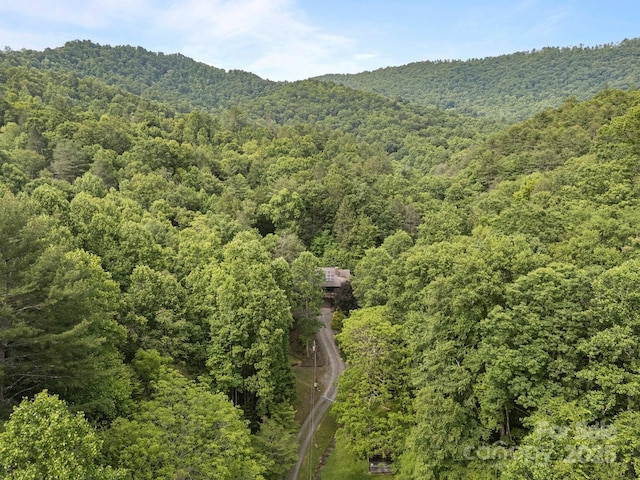 305 Pound Mill Branch Rd, Green Mountain, NC 28740 - aerial view of a forest