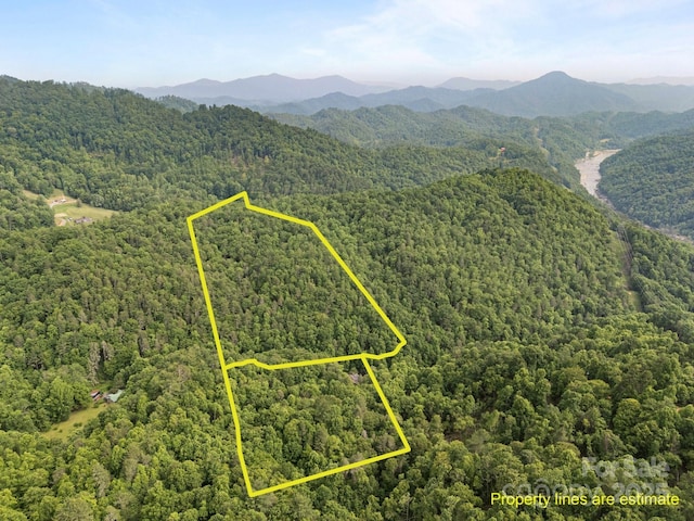305 Pound Mill Branch Rd, Green Mountain, NC 28740 - aerial overview of property's location with a heavily wooded area, property boundaries highlighted, and a mountain backdrop