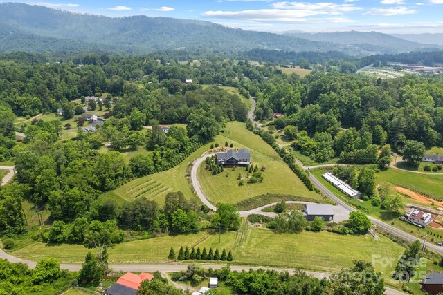 41 Bell Sprinkle Rd, Weaverville, NC 28787 - photo 36