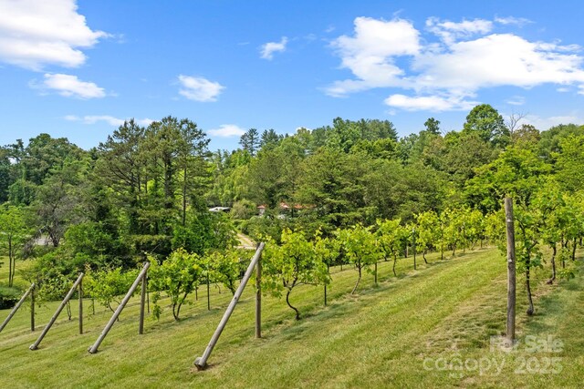 41 Bell Sprinkle Rd, Weaverville, NC 28787 - photo 42