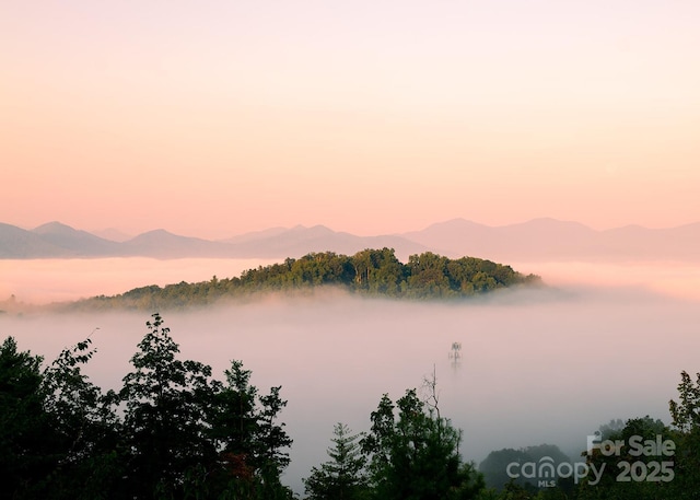 75 Treehouse Hvn, Asheville, NC 28804 - photo 7