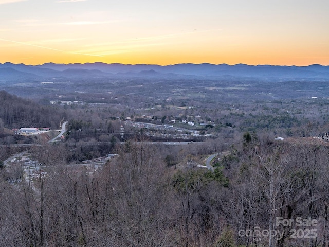 75 Treehouse Hvn, Asheville, NC 28804 - photo 32