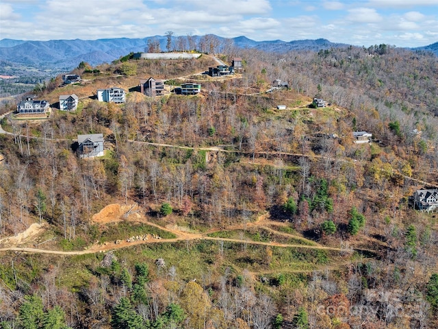 75 Treehouse Hvn, Asheville, NC 28804 - photo 35