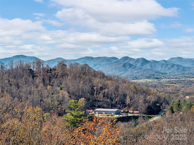 75 Treehouse Hvn, Asheville, NC 28804 - photo 36