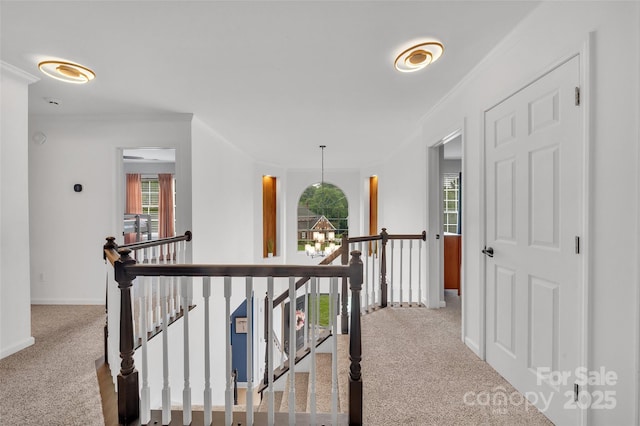 15737 Agincourt Dr, Huntersville, NC 28078 - hall featuring an upstairs landing, carpet floors, ornamental molding, plenty of natural light, and baseboards