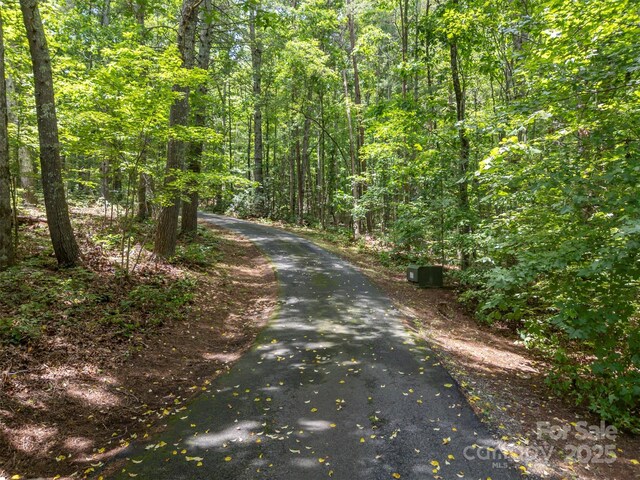 423 Indian Forest Dr, Bostic, NC 28018 - photo 41
