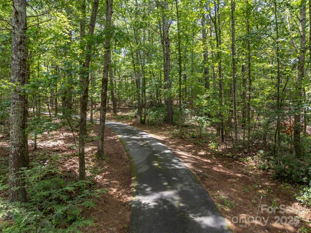 423 Indian Forest Dr, Bostic, NC 28018 - photo 42