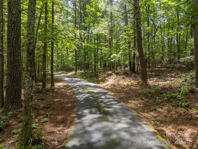 423 Indian Forest Dr, Bostic, NC 28018 - photo 43