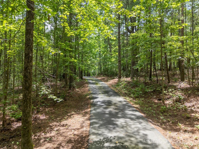 423 Indian Forest Dr, Bostic, NC 28018 - photo 44